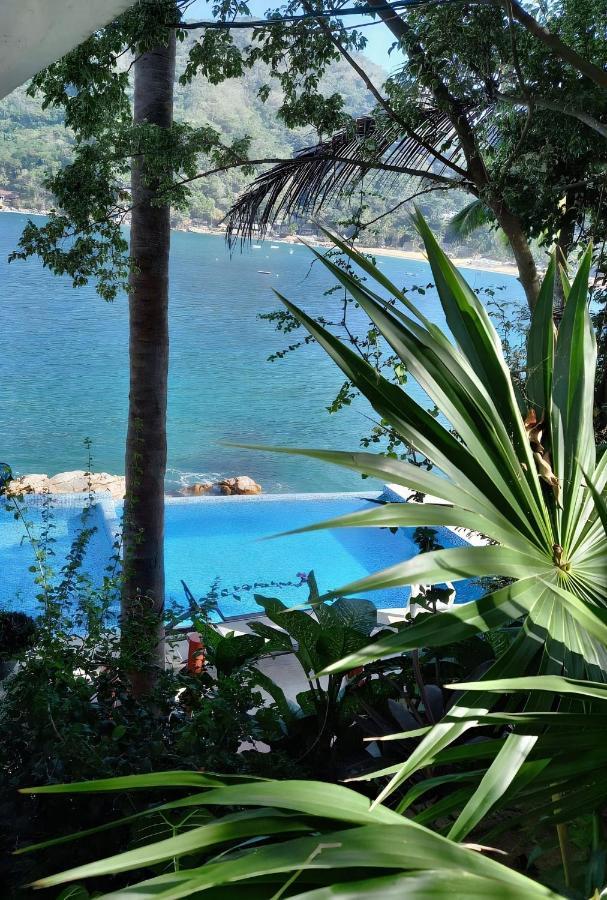 Villas Santa Cecilia "Villa Geegee" En 叶莱巴 外观 照片